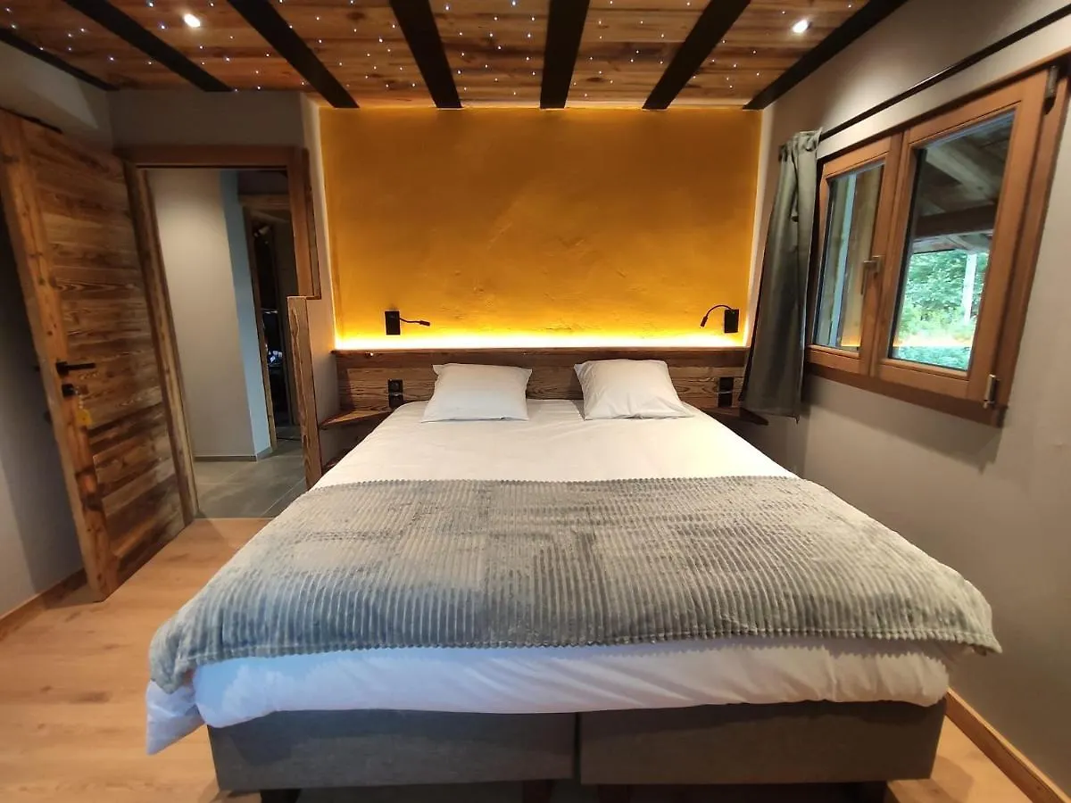 Hotel Le Passionnant Morzine Francja